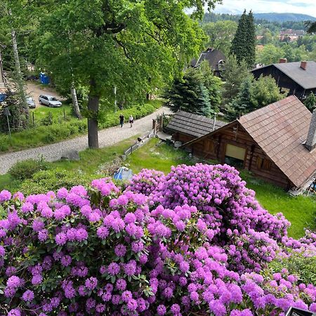 Apartament Wiktoria Sklářská Poruba Exteriér fotografie